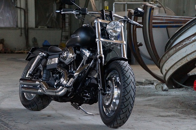 motorka Harley.jpg