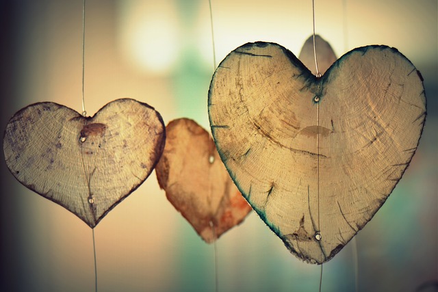 srdce ze dřeva.jpg